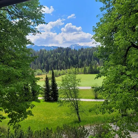 Wieser Ramsau am Dachstein